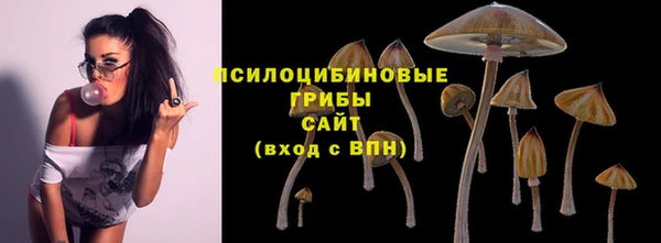 гидропоника Абинск